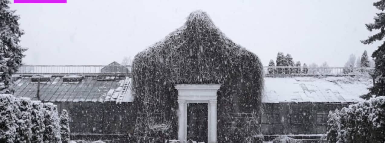 Історія зимового саду poster