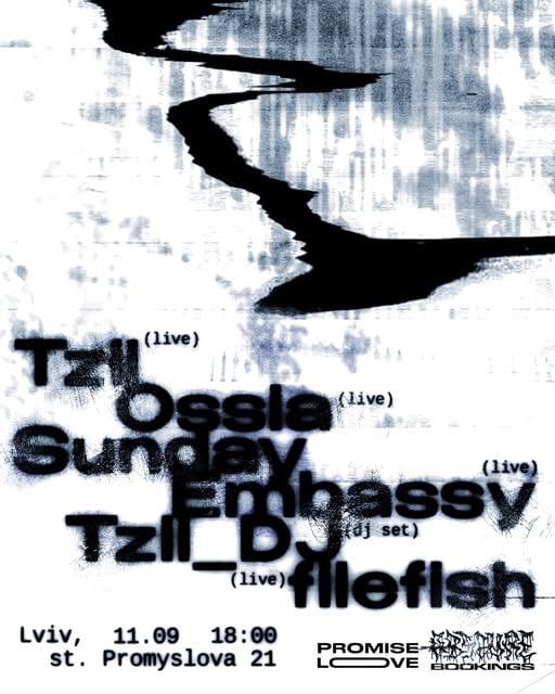 filefish, Sunday Embassy, Ossia, Tzii Live Performance poster