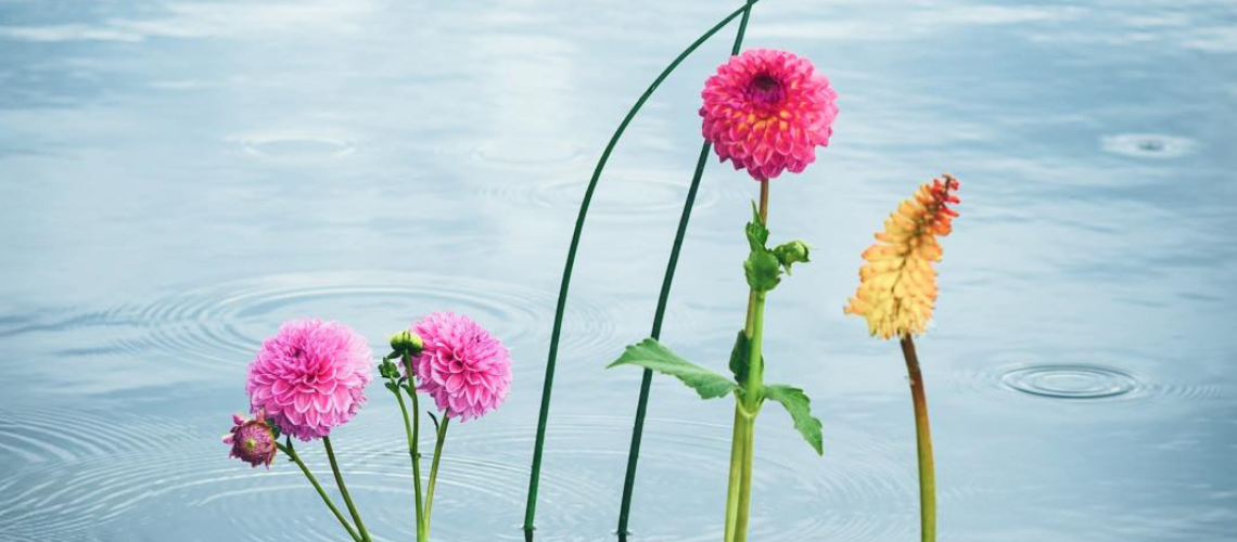 Фотовиставка “12. Рік у фокусі” poster