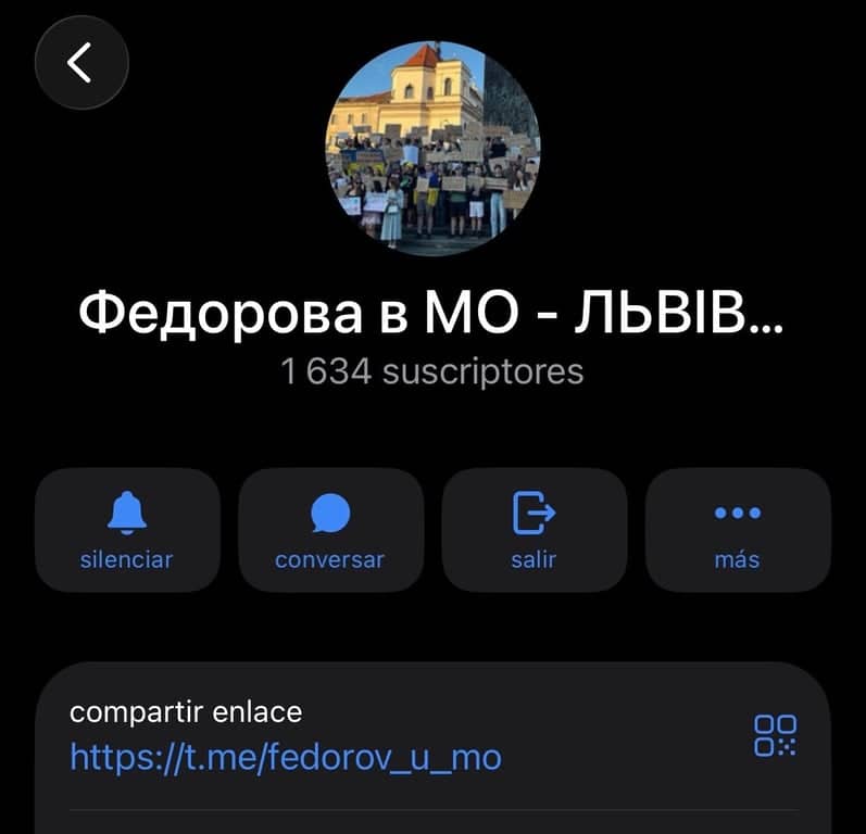 Федорова в МО poster