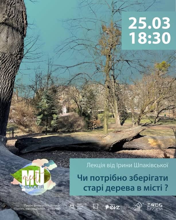 Чи потрібно зберігати старі дерева в місті? poster