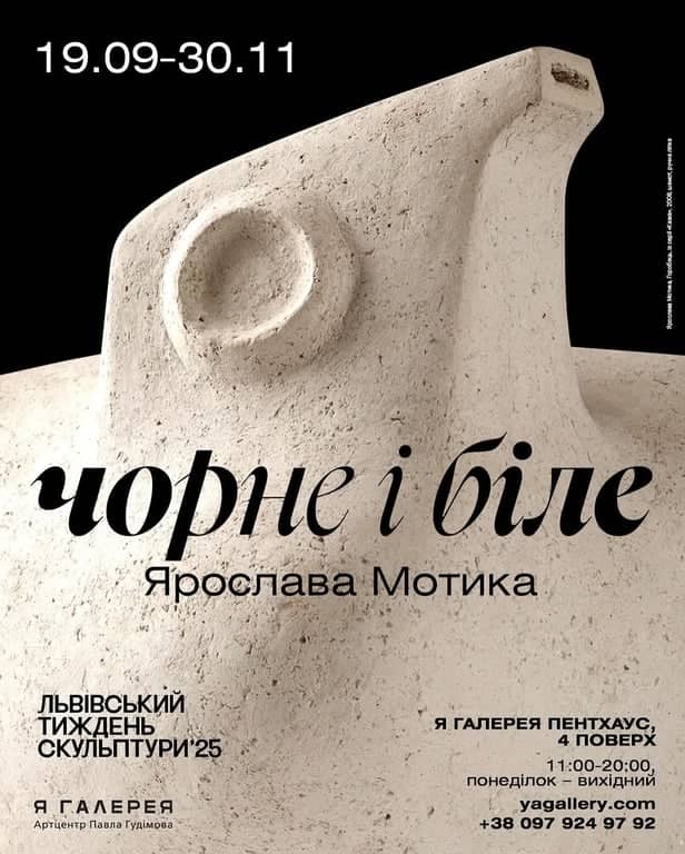 Чорне і біле poster