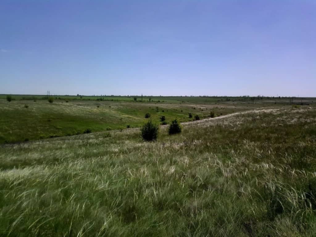 Збереження надбань заповідників і нац.парків, що постраждали під час війни poster