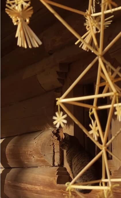 МК: Різдвяний павук у Львівському скансені 2025 poster