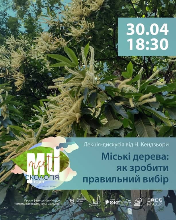 Міські дерева: як зробити правильний вибір poster