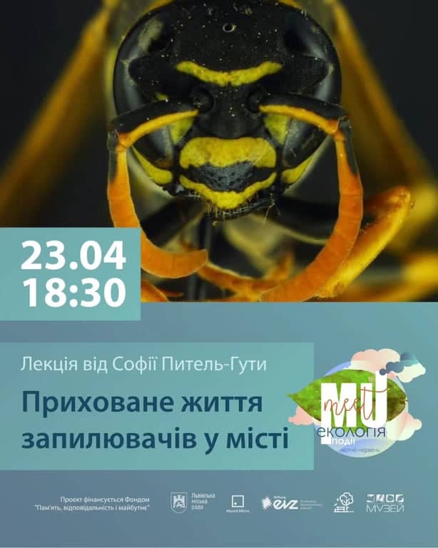 Приховане життя запилювачів у місті poster