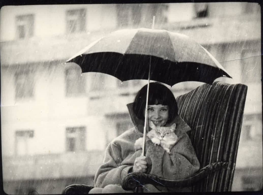 Показ: Поетичне кіно. Еволюція через короткий метр poster