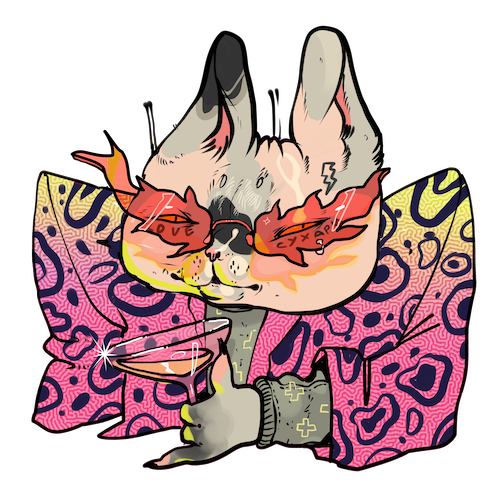 Party Cat Illustration